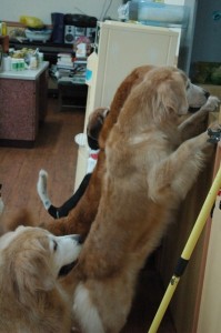 1380944076-1558286100