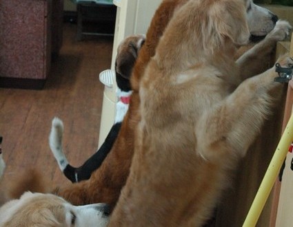 1380944076-1558286100