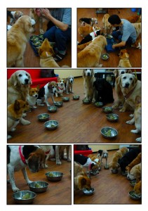 1380944076-2052888528