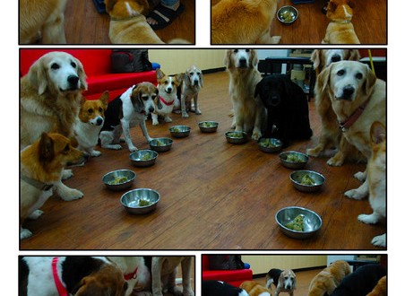 1380944076-2052888528