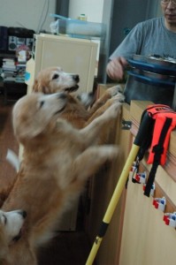 1380944076-2809018358