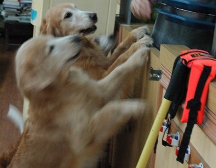 1380944076-2809018358