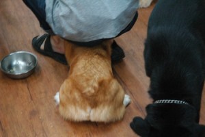 1380944077-4108930829