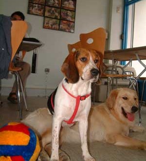 1380944079-2297324929