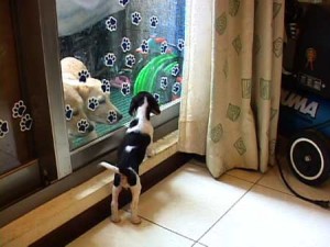 1380944080-1387268346