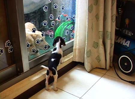 1380944080-1387268346