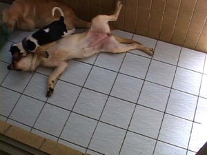 1380944081-1763712505