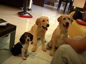 1380944081-518130770