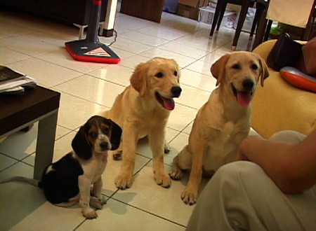 1380944081-518130770