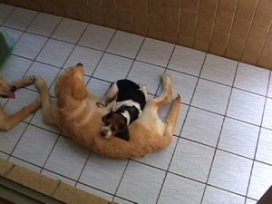 1380944082-3146621673