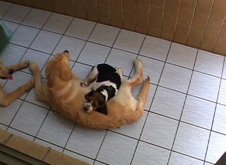 1380944082-3146621673