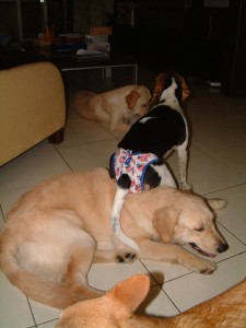 1380944082-3709834513