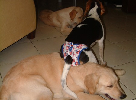 1380944082-3709834513