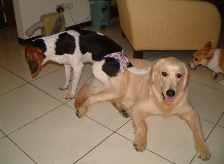 1380944082-4260452531