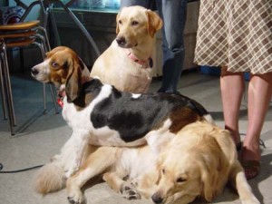 1380944084-1112465220