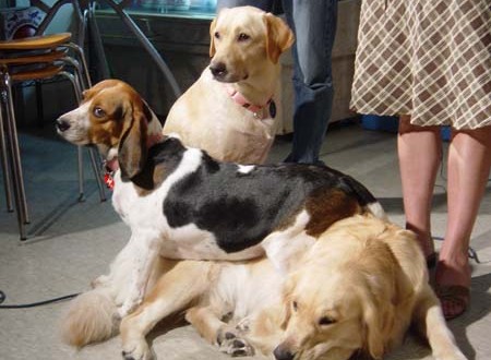 1380944084-1112465220