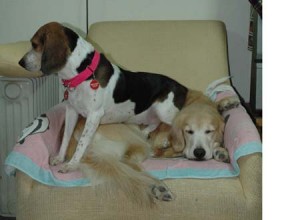 1380944084-3952890580