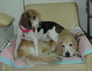 1380944085-3381446151