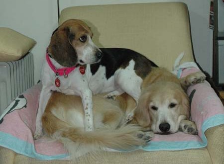 1380944085-3381446151