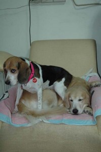 1380944085-402769089