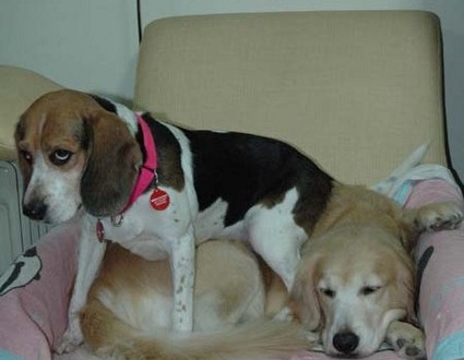 1380944085-402769089