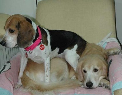 1380944086-3445097697