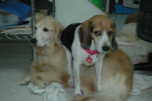 1380944086-505517796