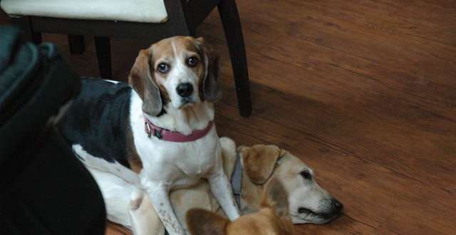 1380944087-2634834614