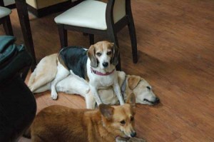 1380944087-2690886513