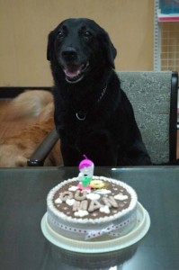 1380944088-172665824