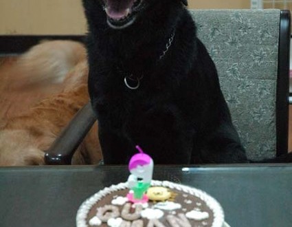 1380944088-172665824