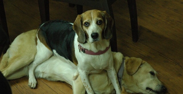 1380944088-2114364323