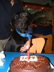 1380944089-4211998063