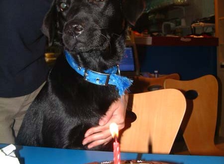 1380944089-4211998063