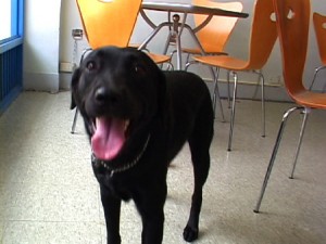 1380944090-421250576