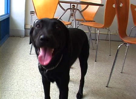 1380944090-421250576