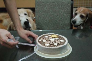 1380944091-3222949044