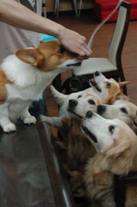 1380944092-308002341