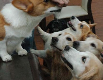 1380944092-308002341