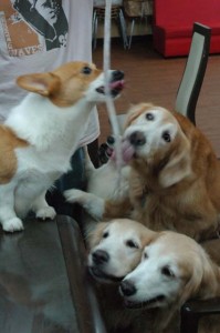 1380944092-3416997155