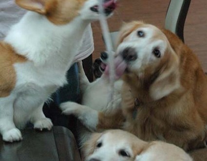 1380944092-3416997155