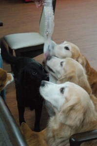 1380944093-2628432481