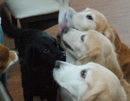 1380944093-2628432481