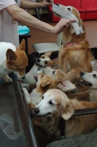 1380944093-417235913