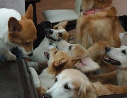 1380944093-417235913