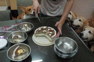 1380944094-1004450350