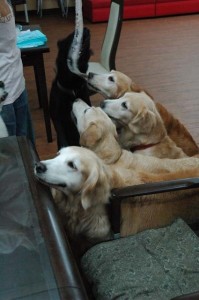 1380944094-872517171