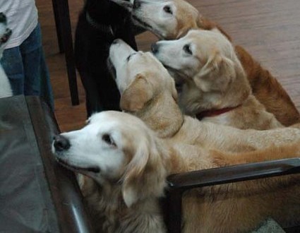 1380944094-872517171