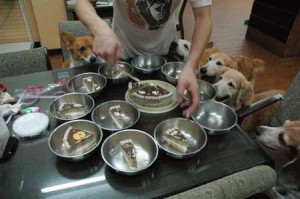 1380944095-1437394430