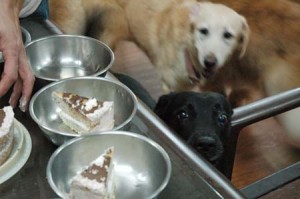 1380944095-2627535257